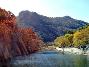 洛龙区文化广电体育和旅游局招聘启事概览